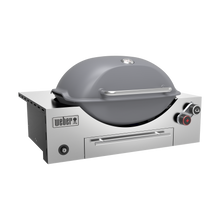 Load image into Gallery viewer, Built-in Q+ Premium (Q3600N+) Smoke Grey LPG
