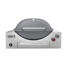 Load image into Gallery viewer, Built-in Q+ Premium (Q3600N+) Smoke Grey LPG