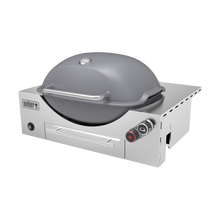 Load image into Gallery viewer, Built-in Q+ Premium (Q3600N+) Smoke Grey LPG