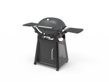 Load image into Gallery viewer, Family Q+ Premium (Q3200N+) Charcoal Grey LPG