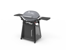 Load image into Gallery viewer, Family Q+ Premium (Q3200N+) Smoke Grey LPG