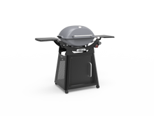 Load image into Gallery viewer, Family Q+ Premium (Q3200N+) Smoke Grey LPG
