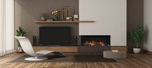 Load image into Gallery viewer, Rinnai Electric Log Fire ES1000
