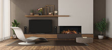 Load image into Gallery viewer, Rinnai Electric Log Fire ES1000