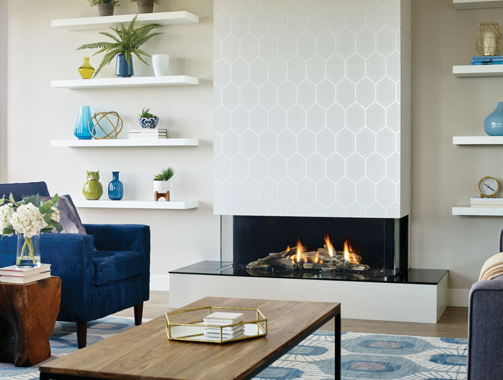 Regency ACB40E City Series DV Fireplace NG (MUST ADD CONVERTION)