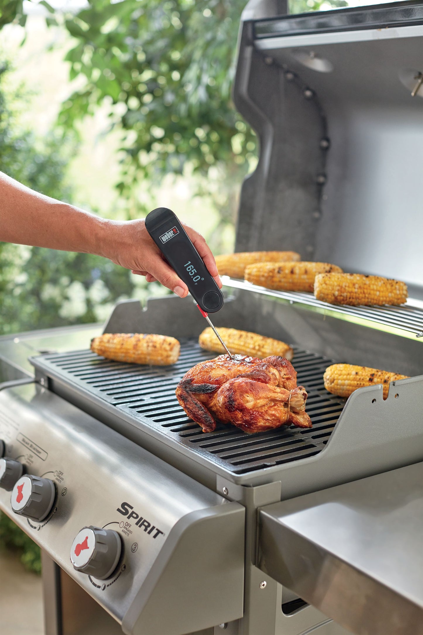 Snapcheck Grilling Thermometer