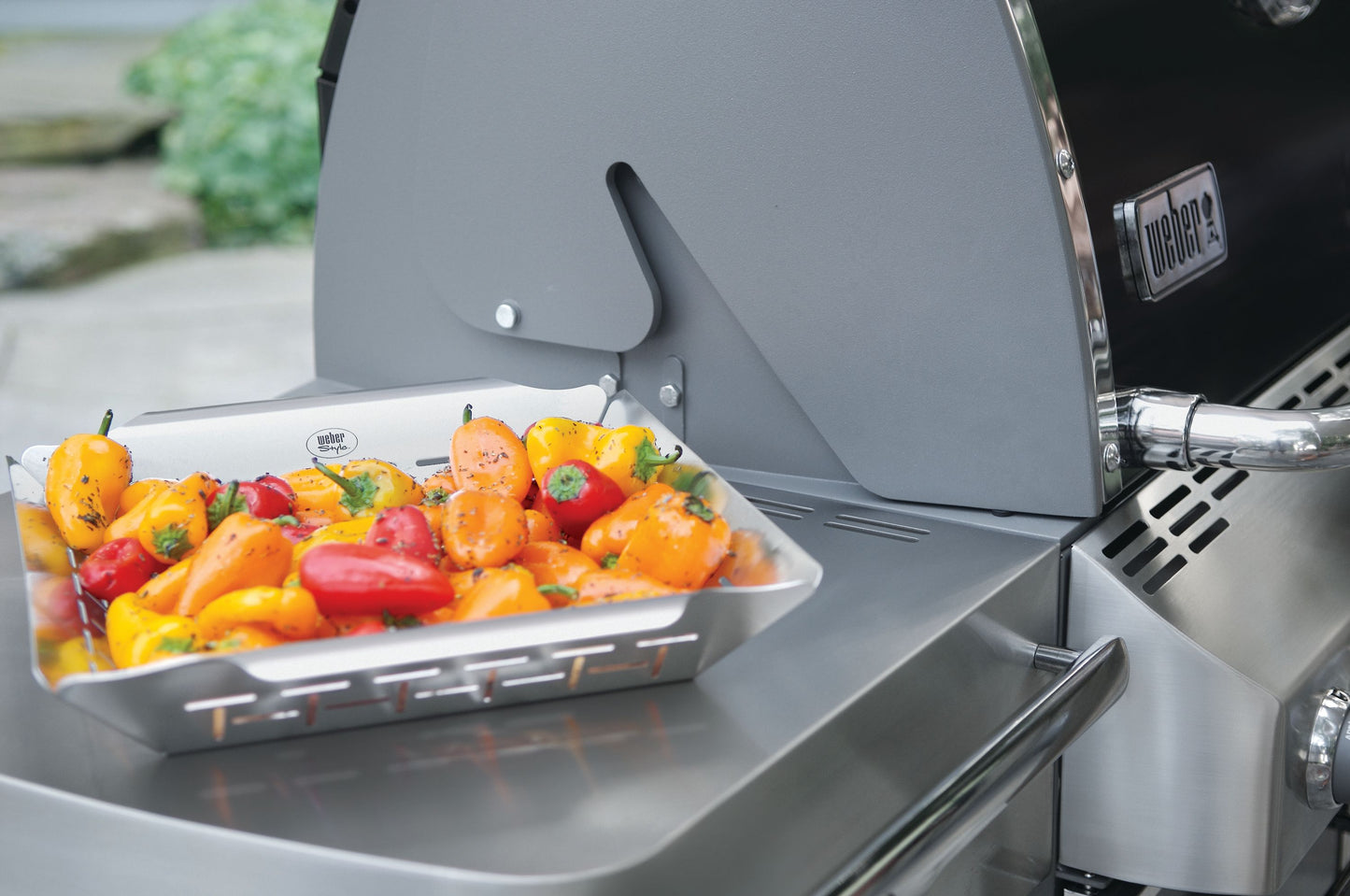 Stainless Steel Vegetable Basket