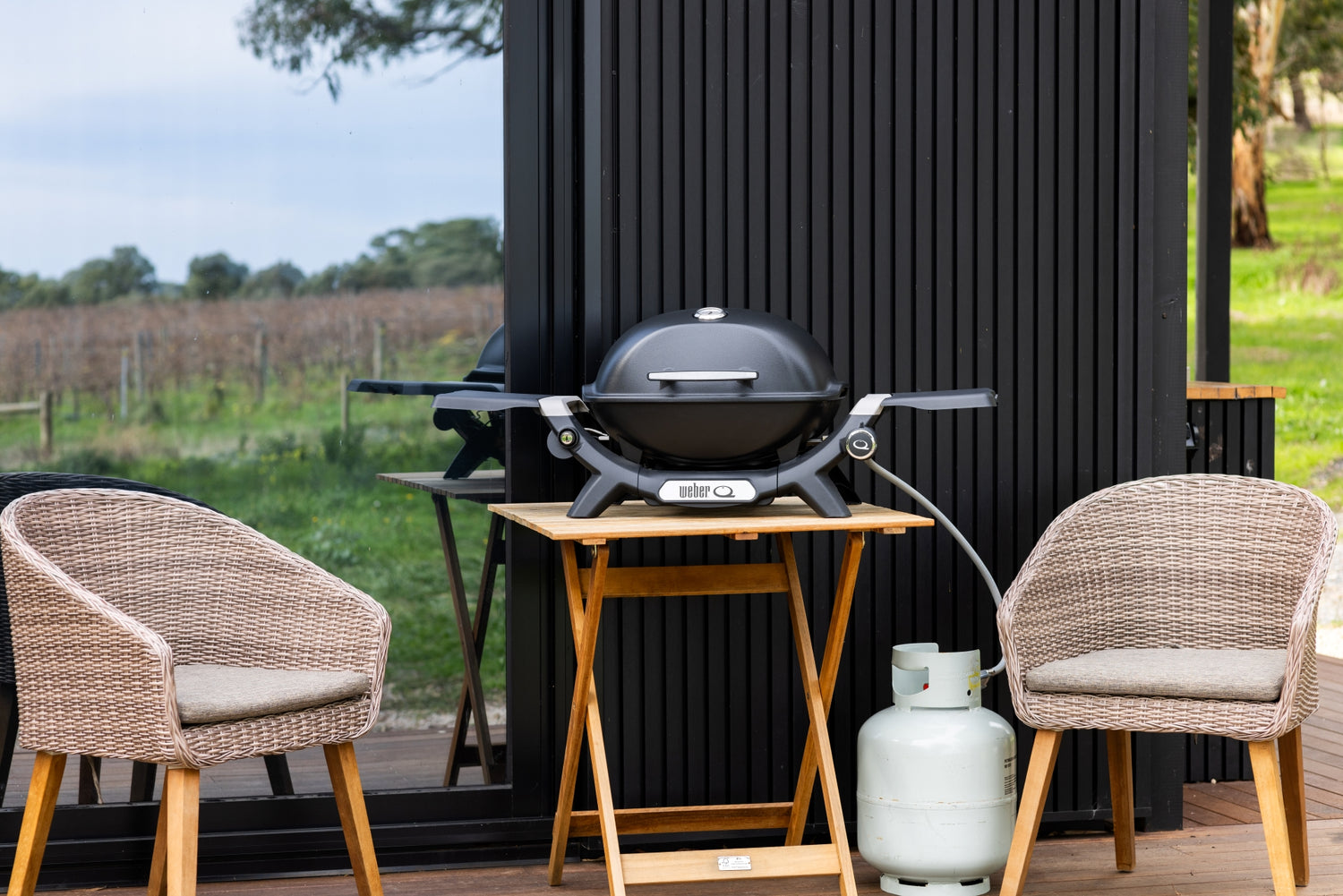 Weber Q Range