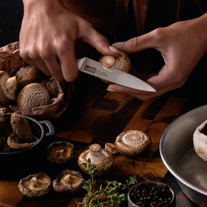 Everyday Set 4pc - Chef Santoku Utility Serrated Utility