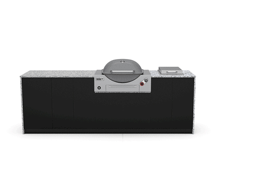 Weber Q 3600 Outdoor Kitchen Custom Design