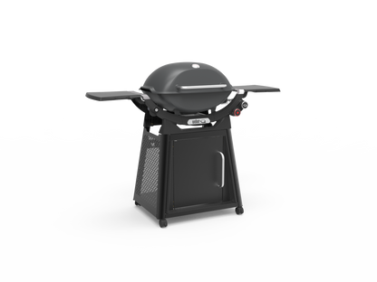 Family Q+ Premium (Q3200N+) Charcoal Grey LPG