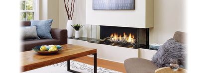Regency ACB40E City Series DV Fireplace NG (MUST ADD CONVERTION)