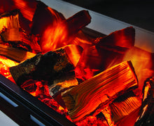 Load image into Gallery viewer, Jetmaster Polaris Electric Fire
