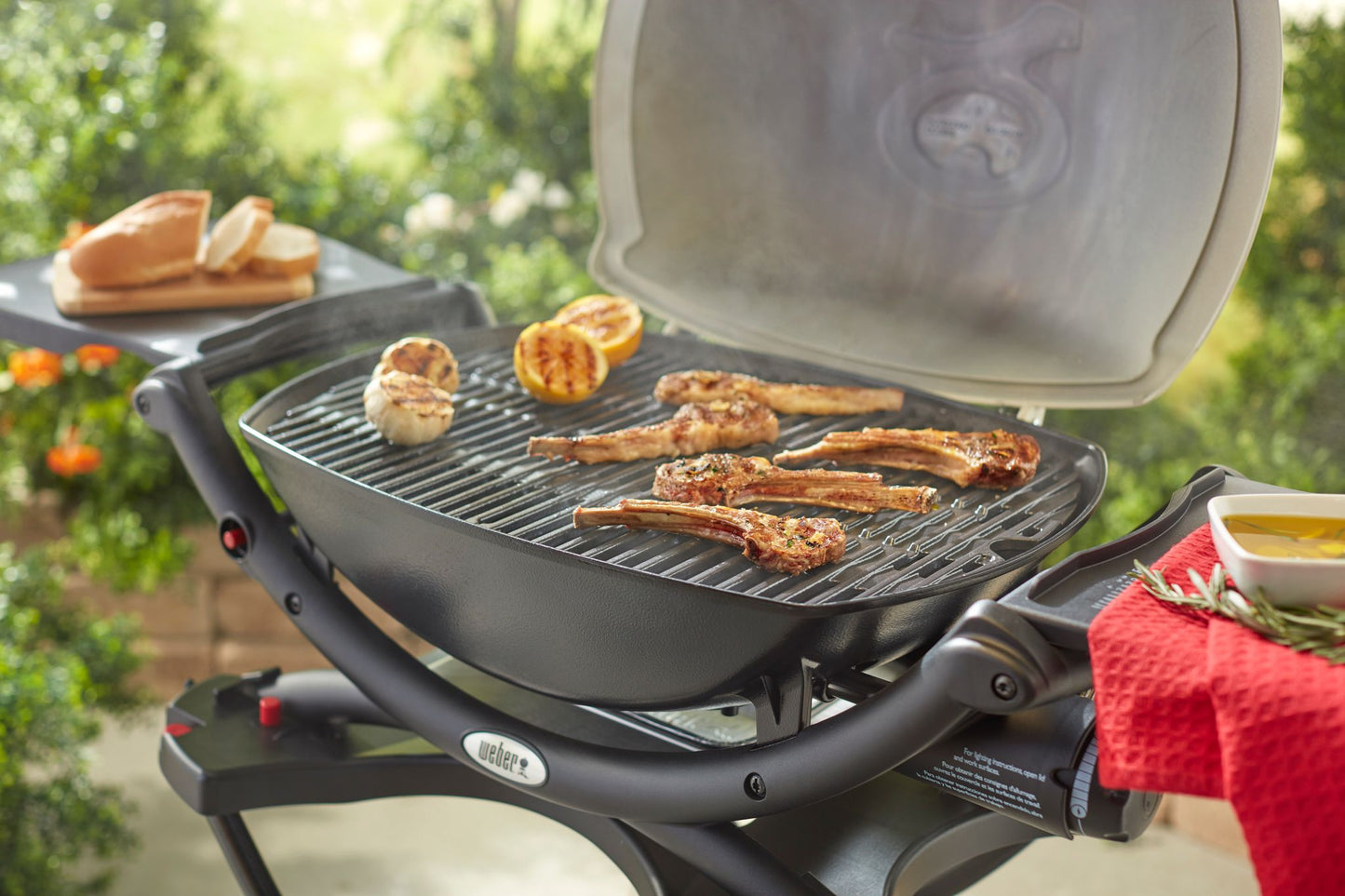 Weber Q Grill Retail Pack With Clips